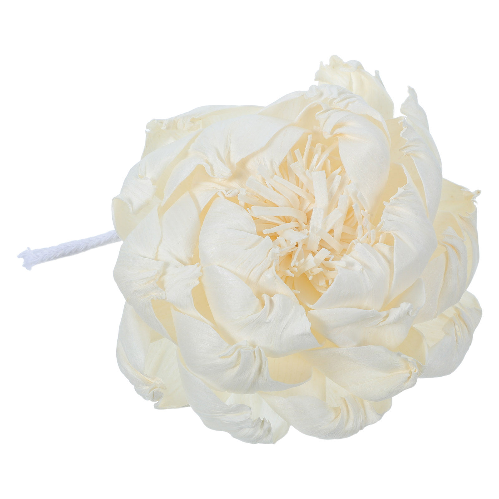 Peony Head Fragrance Diffuser  - đánh giá và giá Home Fragrance Diffusers